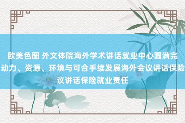 欧美色图 外文体院海外学术讲话就业中心圆满完成第十届动力、资源、环境与可合手续发展海外会议讲话保险就业责任