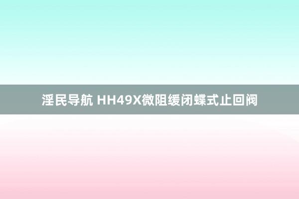 淫民导航 HH49X微阻缓闭蝶式止回阀