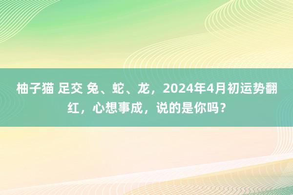 柚子猫 足交 兔、蛇、龙，2024年4月初运势翻红，心想事成，说的是你吗？