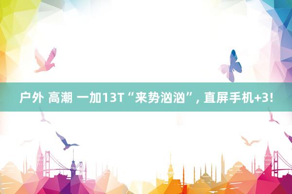户外 高潮 一加13T“来势汹汹”， 直屏手机+3!