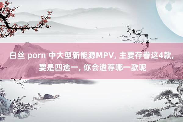 白丝 porn 中大型新能源MPV， 主要存眷这4款， 要是四选一， 你会遴荐哪一款呢