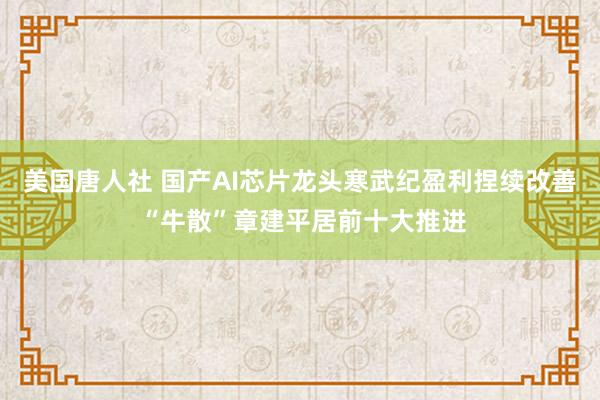 美国唐人社 国产AI芯片龙头寒武纪盈利捏续改善 “牛散”章建平居前十大推进