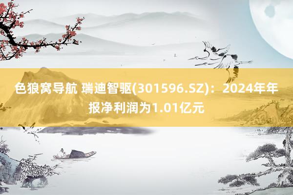 色狼窝导航 瑞迪智驱(301596.SZ)：2024年年报净利润为1.01亿元