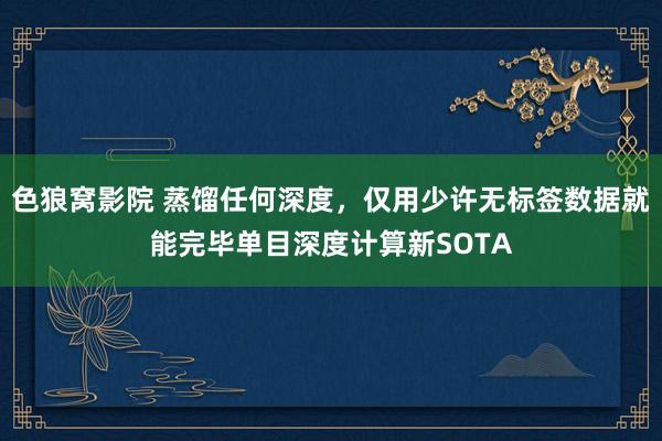 色狼窝影院 蒸馏任何深度，仅用少许无标签数据就能完毕单目深度计算新SOTA
