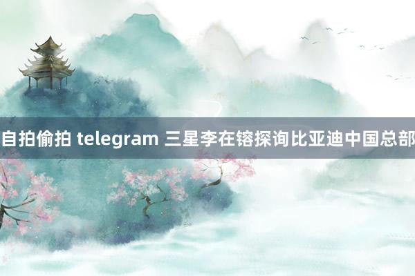 自拍偷拍 telegram 三星李在镕探询比亚迪中国总部